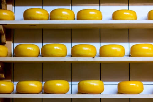 Cheese Rounds on a Shelf