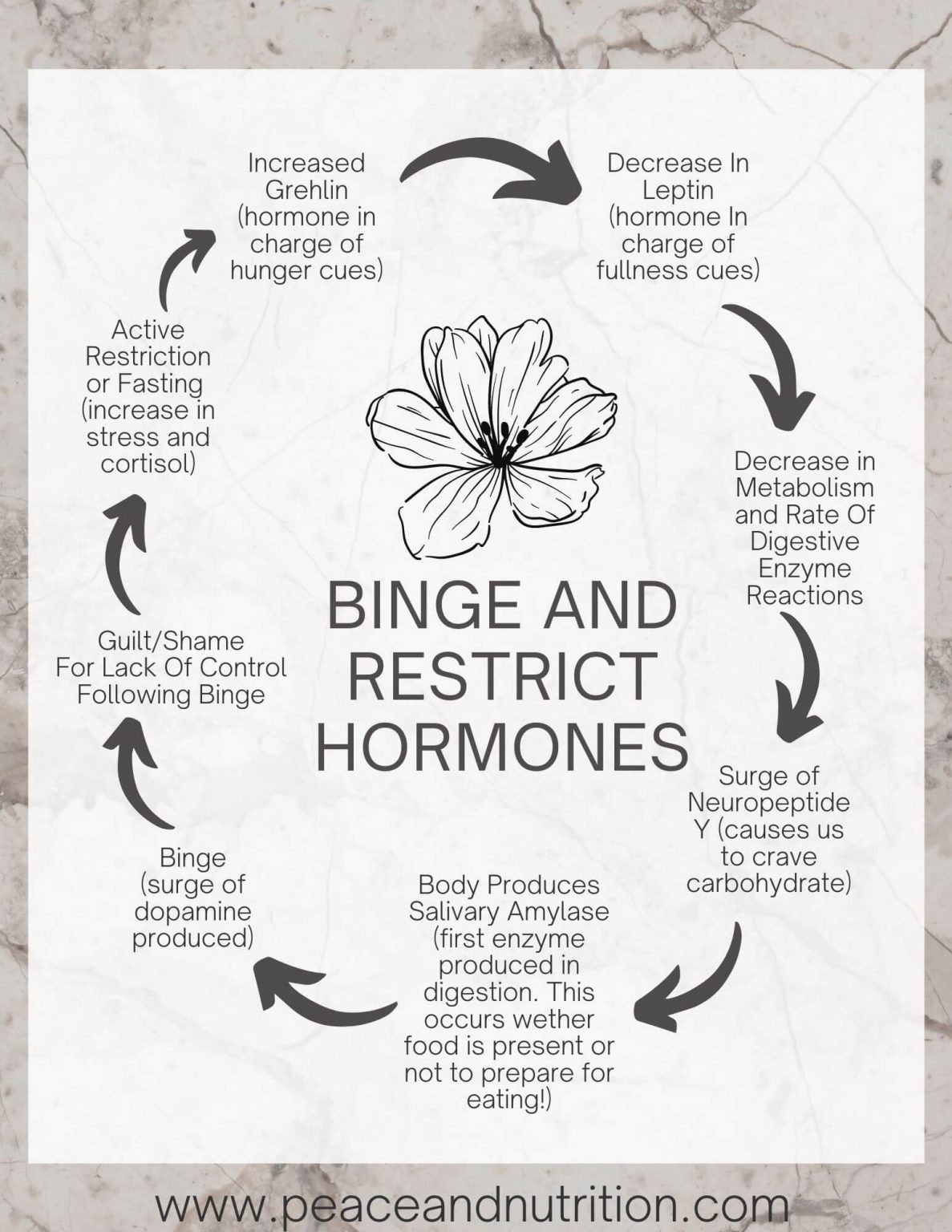 The Binge Restrict Cycle Explained By A Dietitian | Peace & Nutrition™