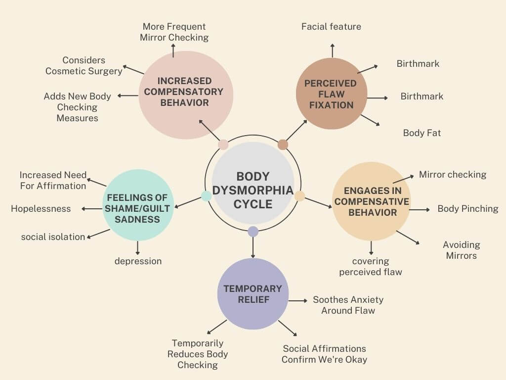 body dysmorphia cycle chart starting with perceived flaw and ending with compensatory behavior to correct flaw