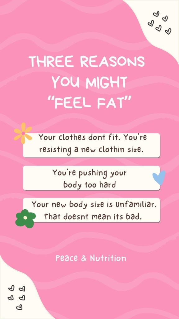 infographic on 3 reasons you might feel fat